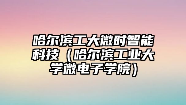 哈爾濱工大微時智能科技（哈爾濱工業(yè)大學微電子學院）