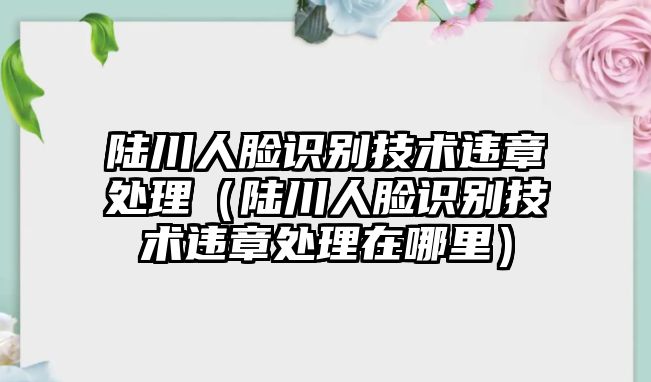 陸川人臉識別技術(shù)違章處理（陸川人臉識別技術(shù)違章處理在哪里）