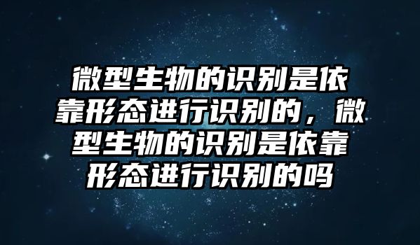 微型生物的識別是依靠形態(tài)進行識別的，微型生物的識別是依靠形態(tài)進行識別的嗎