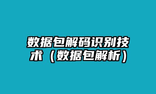 數(shù)據(jù)包解碼識別技術(shù)（數(shù)據(jù)包解析）