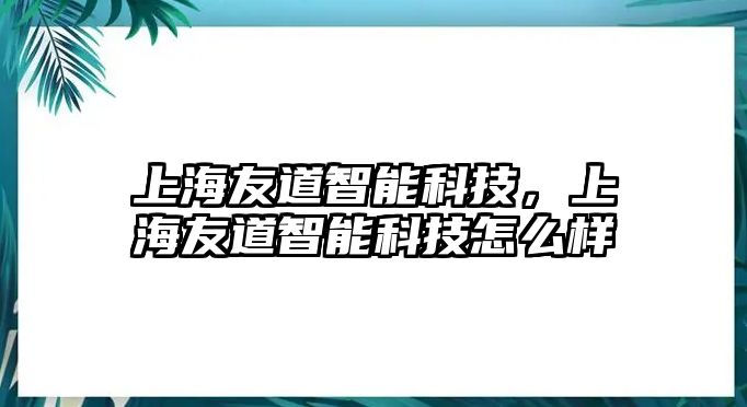 上海友道智能科技，上海友道智能科技怎么樣