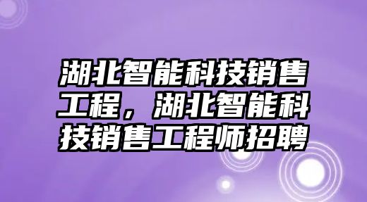 湖北智能科技銷售工程，湖北智能科技銷售工程師招聘