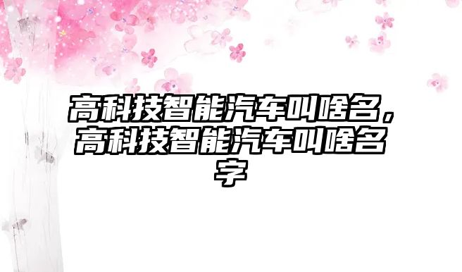 高科技智能汽車叫啥名，高科技智能汽車叫啥名字