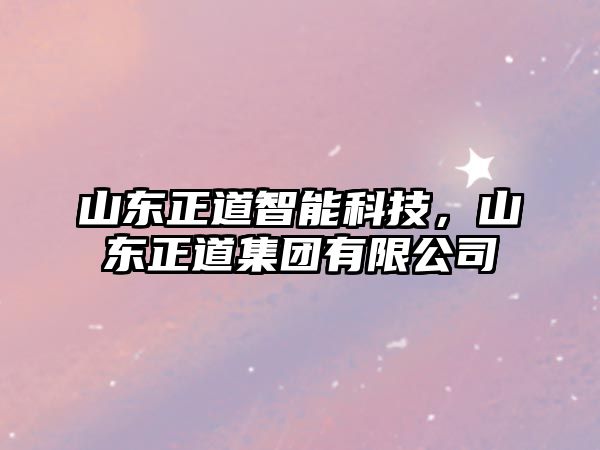 山東正道智能科技，山東正道集團(tuán)有限公司