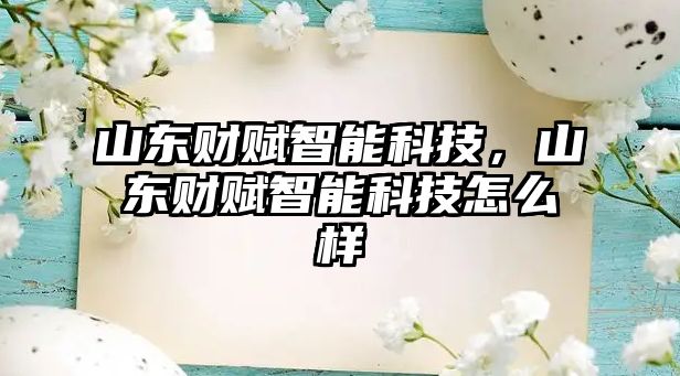 山東財賦智能科技，山東財賦智能科技怎么樣