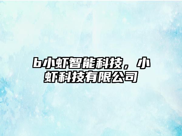 b小蝦智能科技，小蝦科技有限公司