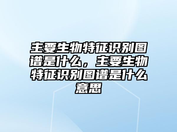 主要生物特征識(shí)別圖譜是什么，主要生物特征識(shí)別圖譜是什么意思