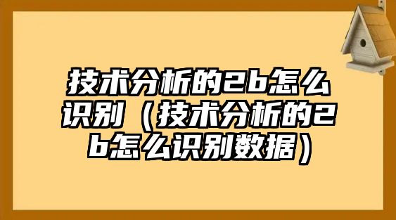 技術(shù)分析的2b怎么識(shí)別（技術(shù)分析的2b怎么識(shí)別數(shù)據(jù)）