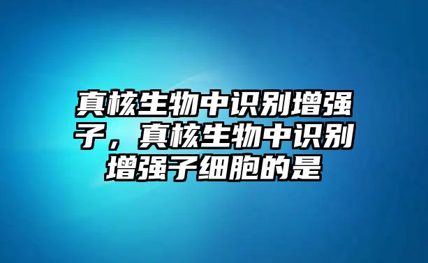 真核生物中識別增強子，真核生物中識別增強子細胞的是