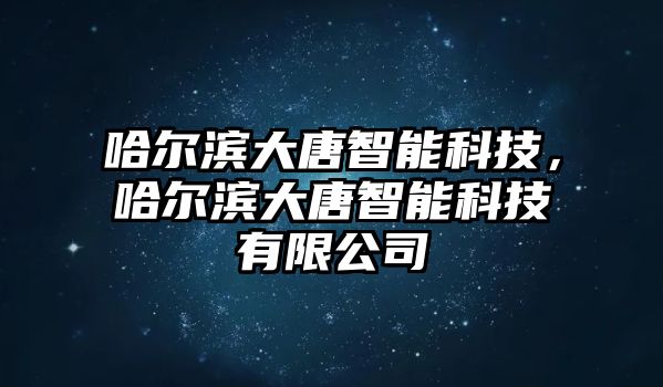 哈爾濱大唐智能科技，哈爾濱大唐智能科技有限公司