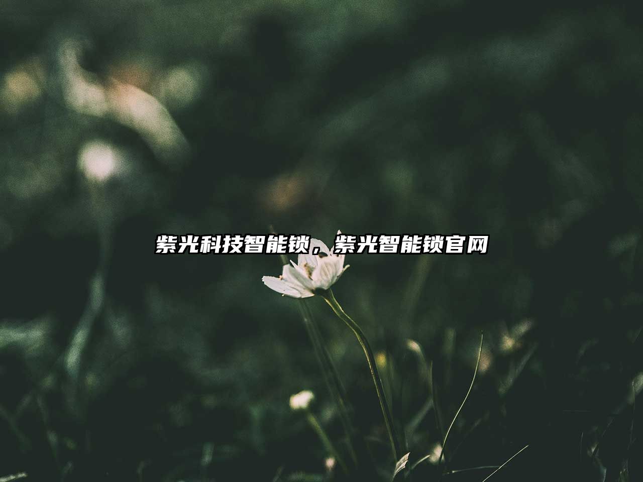 紫光科技智能鎖，紫光智能鎖官網(wǎng)