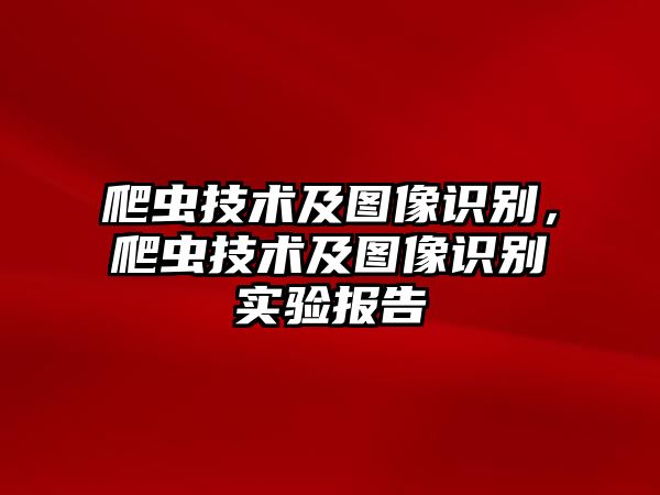 爬蟲技術及圖像識別，爬蟲技術及圖像識別實驗報告