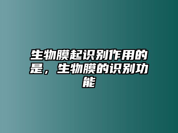 生物膜起識(shí)別作用的是，生物膜的識(shí)別功能