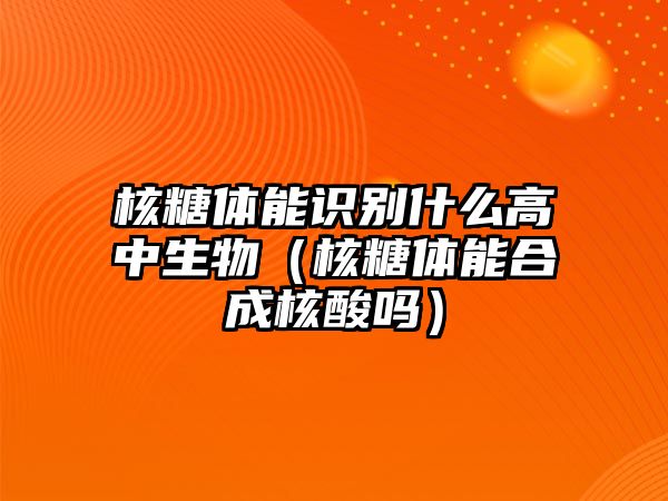 核糖體能識別什么高中生物（核糖體能合成核酸嗎）