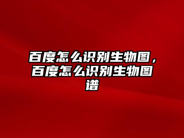 百度怎么識別生物圖，百度怎么識別生物圖譜