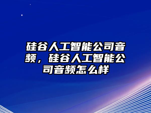 硅谷人工智能公司音頻，硅谷人工智能公司音頻怎么樣