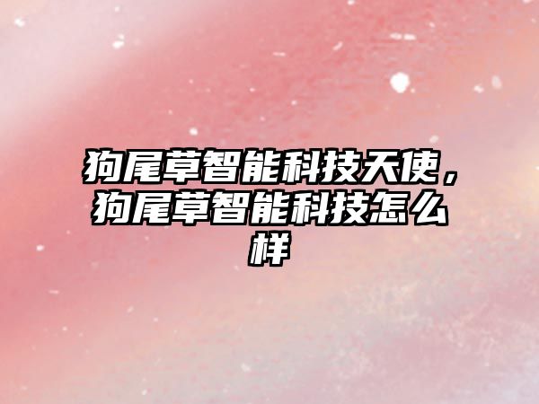 狗尾草智能科技天使，狗尾草智能科技怎么樣