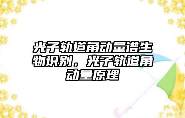 光子軌道角動量譜生物識別，光子軌道角動量原理