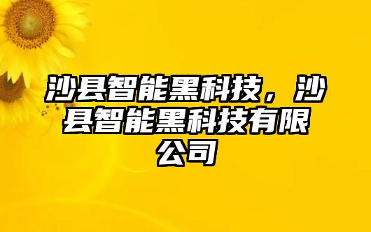 沙縣智能黑科技，沙縣智能黑科技有限公司