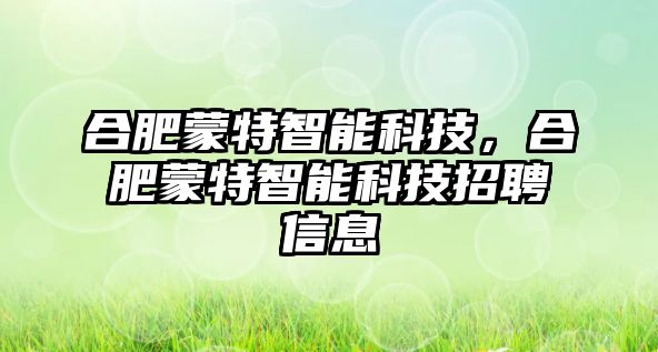 合肥蒙特智能科技，合肥蒙特智能科技招聘信息